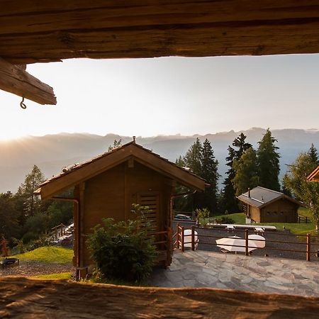 Les Mazots De La Source & Spa Vercorin Exteriör bild